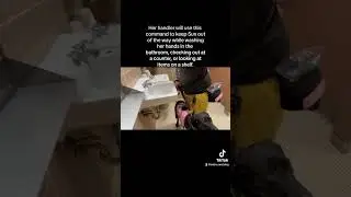 service dog command 