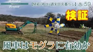 畑のモグラ対策(１)【開拓/移住/週末田舎暮らし】