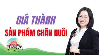 Buổi 3 Kế Toán Tập Hợp Chi Phí Sản Xuất Và Tính Giá Thành Sản Phẩm Chăn Nuôi