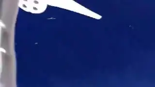 ANIMALS  VS DRONE (Drone Crash Compilation)
