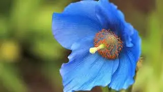 Walking tenderly on Mother Earth 🌎