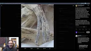 Отличные новости для мумий Назка!