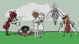 Year Round Pest Control for Your Home: Four Seasons Package