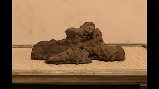 九十九水石同人　第５７回　水石展　2025.5.17