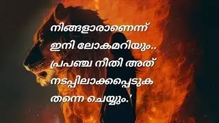 നീതി ലഭിക്കുന്നു..നിങ്ങളെയിനി ആരാലും പരാജയപ്പെടുത്താൻ സാധിക്കില്ല..#malayalamtarotreading#tarot#love