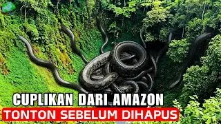 Scientists Stunned: Makhluk Mengerikan Amazon Tertangkap Kamera &mdash; Asalnya Tak Terjelaskan!