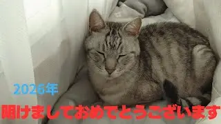 新年になっても変わらず可愛いヒョウマくん！！