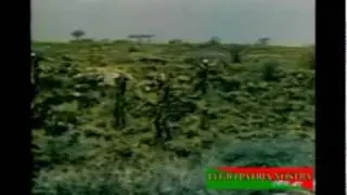 Sous le soleil brulant d'Afrique .13 DBLE