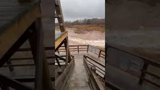 Amazing deck view in a muddy day #relaxing #river #rain #muddy #nature #adventure