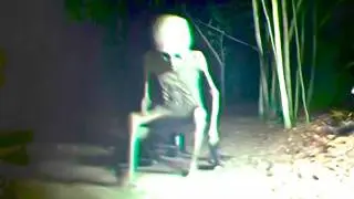 Most Disturbing Creatures Captured By Hidden Cameras