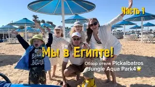 Египет зимой. Обзор отеля Pickalbatros Jungle Aqua Park 4🌟 