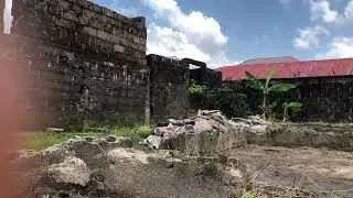 Water leaf farming