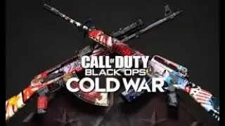 Top 1000 Cold War Zombies Player plays with Randoms!