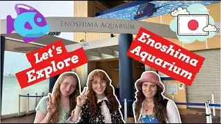 Exploring the Wonders of Enoshima Aquarium in Kamakura, Japan!