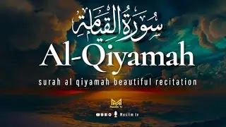 EMOTIONAL QURAN recitation | Surah Al-Qiyamah (سورة القيامة) ⋮ MUSLIM TV | MUHIB AL MAHDI