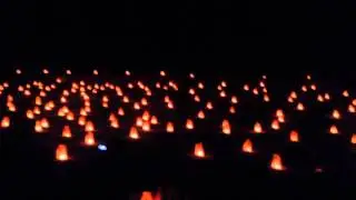 Petra Night Tour Show