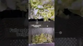 Vertical Packaging Machine for Salad Greens #machine #manufacturing #automation