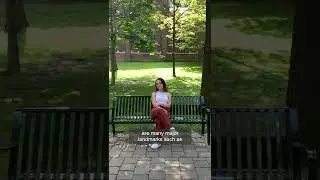 Philosopher's Walk | UTogether