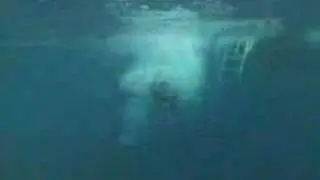 Scuba dive in Miami Beach Tarpoon Dive Center
