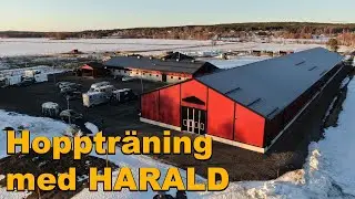 ÄNTLIGEN hoppträning med Harald