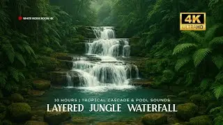 Layered Jungle Waterfall Ambience &bull; 10 HOURS &bull; Tropical Cascade & Pool Sounds in 4K UHD