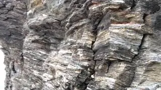 ch7 Foliation