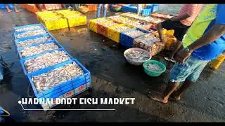 Dapoli Trip | Harnai Port | Fish Market | ANVlog 5