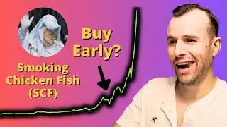 How solid is the Smoking Chicken Fish rally? ☢️ SCF Crypto Token Analysis