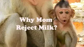 Breakingheart!Pity Poor Baby Jayden Screaming & Request Milk From Mom Jade,But Mom Reject Milk