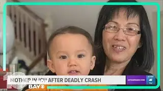 Survivor of deadly Pinellas Park crash fights for life in ICU