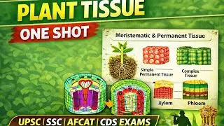 Plant Tissue One Shot for UPSC | NDA | CDS | AFCAT | SSC