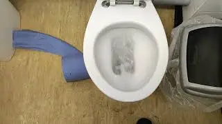 Toilet in Homebase Eastbourne