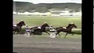 Gulddivisionen Final Bergsaker 1995 -Zoogin