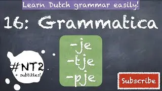 VERKLEINWOORDEN DUTCH GRAMMAR #NT2 #learndutch #grammatica #nederlands #staatsexamen  #inburgering