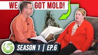 What Happens When You Ignore Mold in Your Home?