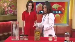 Dr Susan Evans discusses Parasites on Good Morning America