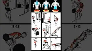Top 9 Back Exercises to Build Strength and Size in the Gym #workout #backexercise