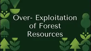 Over exploitation of Forest resources | Environmental studies