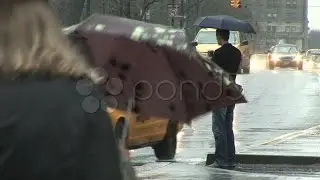 People And Traffic In The Rain In New York. Stock Footage