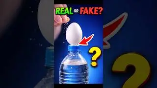 Egg Balance on a Bottle 🤯 REAL or FAKE?