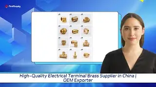 High-Quality Electrical Terminal Brass Supplier in China | OEM Exporter