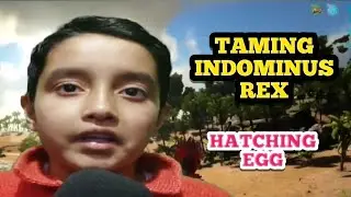 Ark Indominus Rex Taming | Indominus Rex Hatching Ark |Ark Indominus Rex Egg | #ark #arkhindi