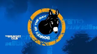Caller Gives People Stealing Parking Spots In The Snow Donkey Of The Day
