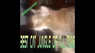 Fireware - Junglecat jungle/techno/triphop/psytrance mix (the cat from the jungle)