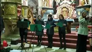 Byla cesta ušlapaná