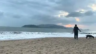 Beach Wave Sound: Morning Ocean Waves ASMR for Insomnia, Anxiety Relief & Study (No Talking)