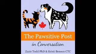 Caring for dogs vs caring for cats