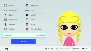 How to make a Toon Zelda mii