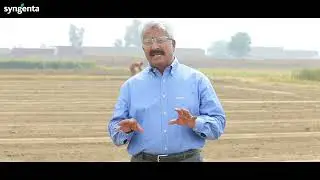 کپاس کی فصل کے لیے زمین کی تیاری کا طریقہ کیا ہے؟ جاننے کے لیے دیکھیے یہ ویڈیو!