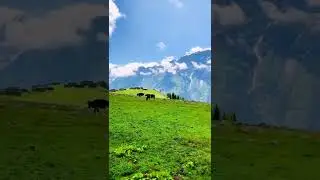 pick of mountain and mankeyal chukail banda kalam valley swat
